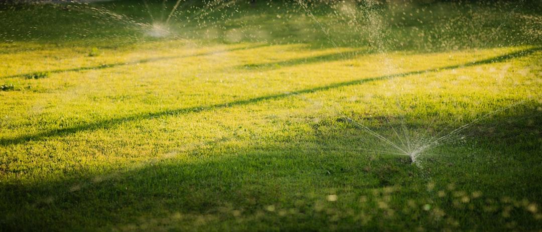 Fall mulching and soil amendment