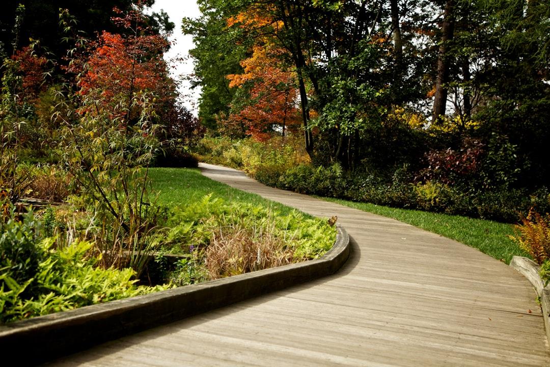 Four-season native planting border