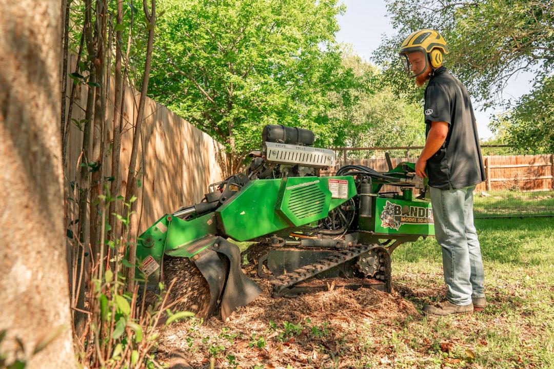 Tree Services